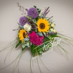 Sommer 06.23 (11) (1)